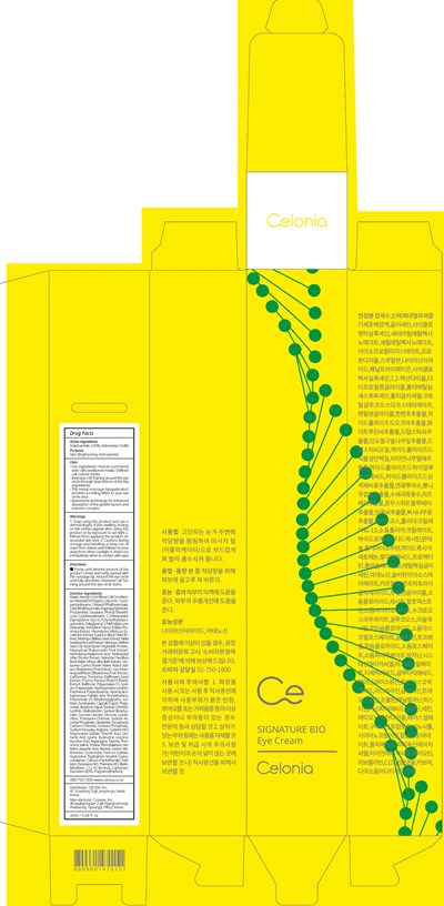Image Of Carton (Eye Carton)